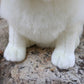 28cm Lifelike Samoyed Stuffed Toys Cute Realistic White Dog Plush Toy Puppy Plush Animals Toy Birthday Christmas Gifts