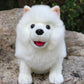 28cm Lifelike Samoyed Stuffed Toys Cute Realistic White Dog Plush Toy Puppy Plush Animals Toy Birthday Christmas Gifts