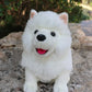 28cm Lifelike Samoyed Stuffed Toys Cute Realistic White Dog Plush Toy Puppy Plush Animals Toy Birthday Christmas Gifts